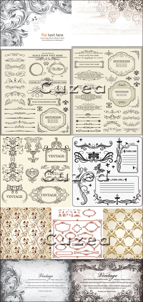      /  Vintage calligraphical elements in a vector set