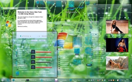 Glass Skin Pack 1.0 for Windows 7 x86/x64 Free download & full download,free software download filehunk.com