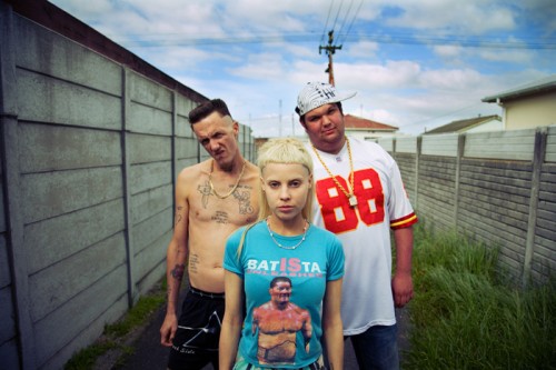 Die Antwoord -  [2010 - 2012, Hip-Hop / Electronic / Rave / Zef, SATRip / DVDRip / HDTVRip ]
