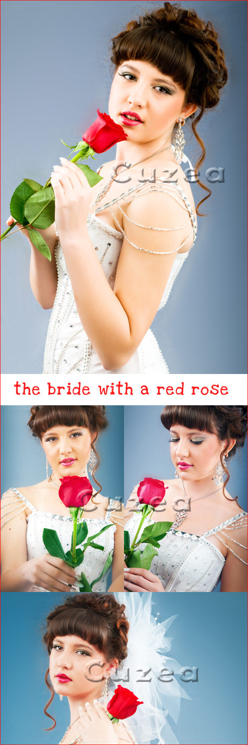    / Nice bride with red rose - Stock photo