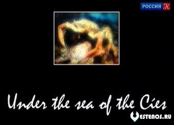 Из глубины моря / Under the Sea of the Cies