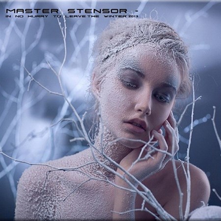 Master Stensor - In No Hurry To Leave The Winter (2013)