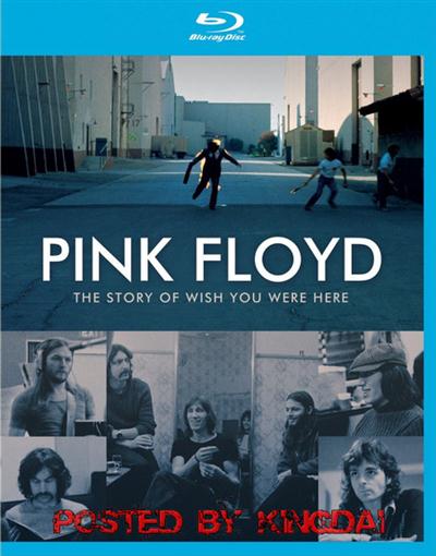 t1din Pink Floyd The Story Of Wish You Were Here 2012 720p BluRay x264EbP