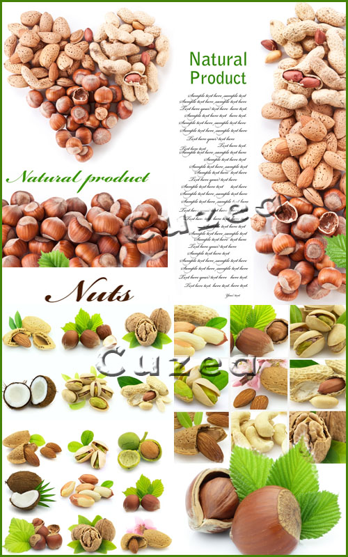   - / Natural product -  nuts - Stock photo