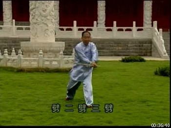 Техника Тунбэй семьи Ма Бянь Ган (2013) VCDRip
