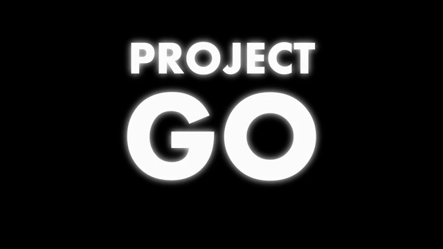 Project Go Month 13 Week 2
