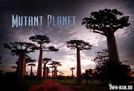 Планета мутантов. Япония / Mutant Planet. Japan