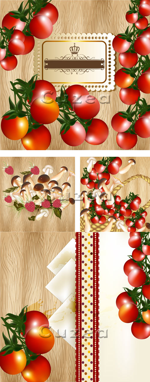       / Background for menu with tomatos and mushroom in vector