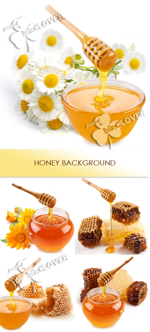 Honey background 0413