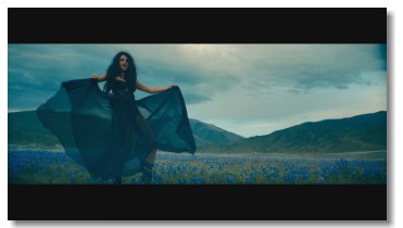 Selena Gomez - Come & Get It (WebRip 1080p)