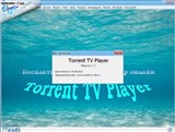 Torrent TV Player1.3