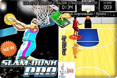 Slam Dunk Pro /  -