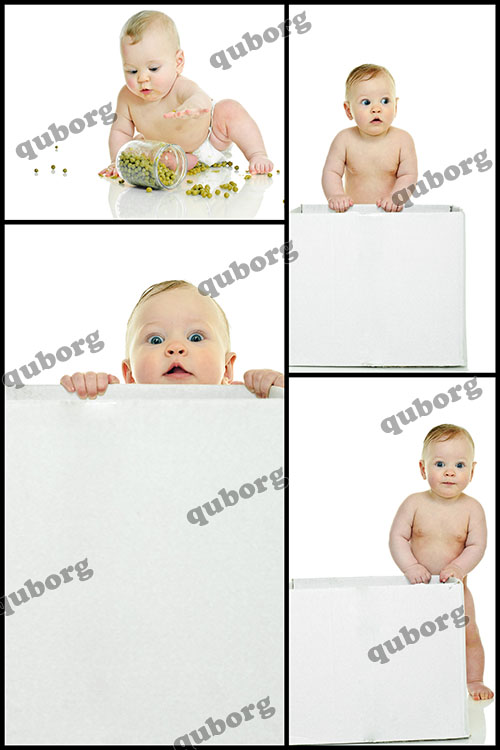 Stock Photos - Eight Month Baby Clambers on White Background