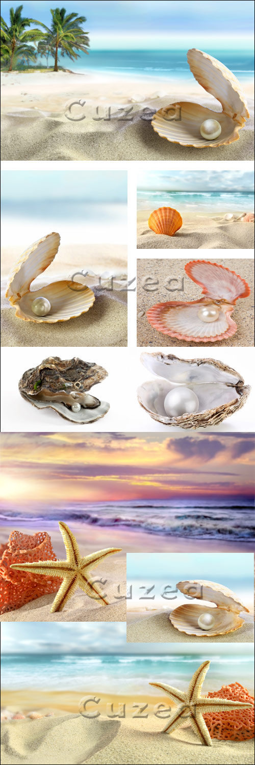      / Pearls and starfishes - Stock photo