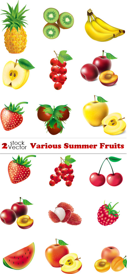  Vectors - Various Summer Fruits