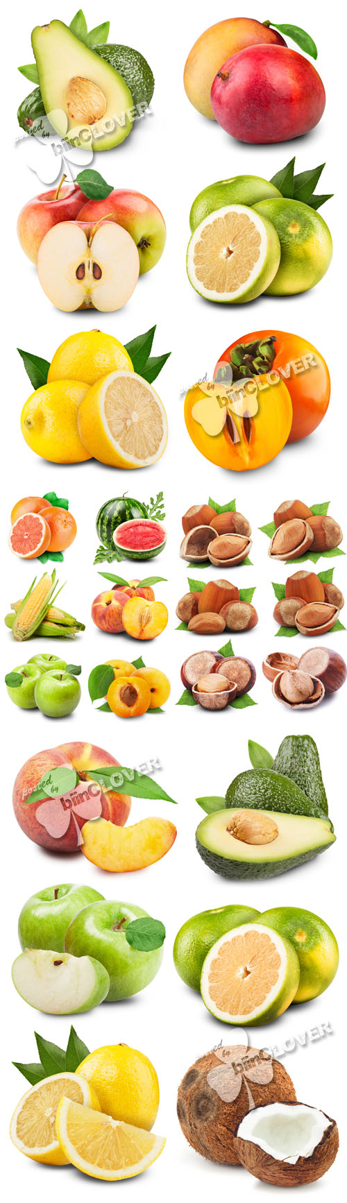 Fresh fruits, citrus and hazelnuts 0426