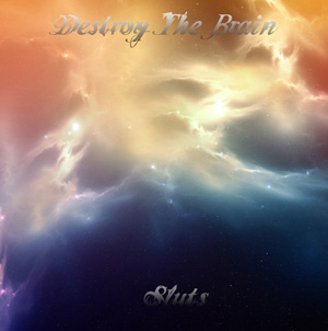 Destroy the Brain - Sluts (Single) (2013)