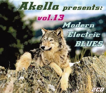 Akella Presents - Vol.13 (2013)