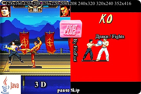 Bruce Lee Iron Fist /  :   