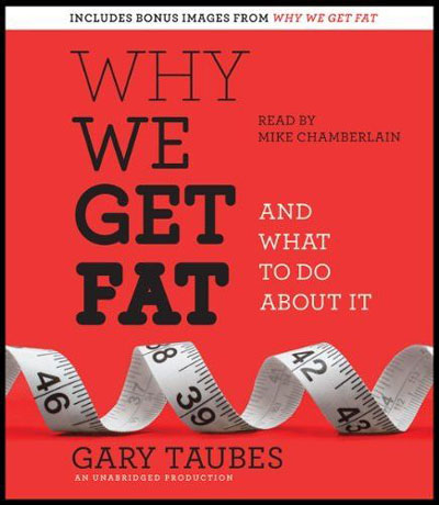 Why We Get Fat: And What to Do About It (Audiobook)