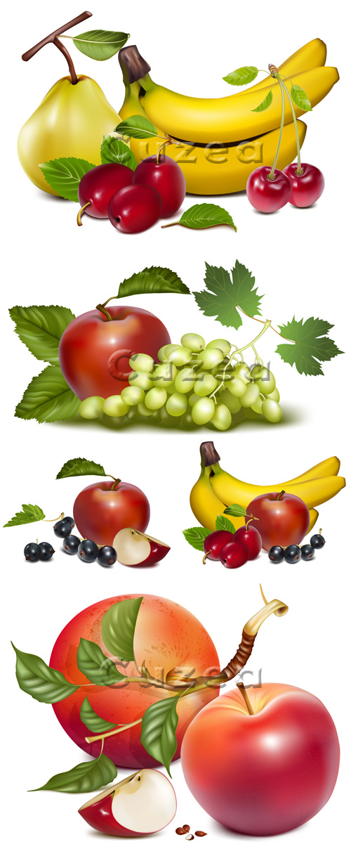       / Sweet fruits on white backgrounds in vector