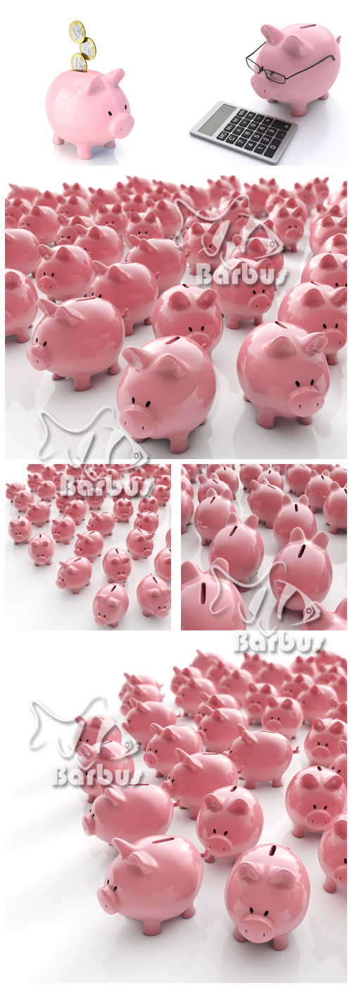 Pigs of a moneybox /   
