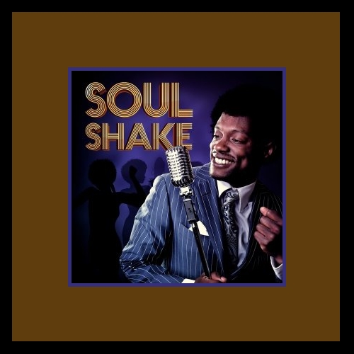 VA - Soul Shake (2013)