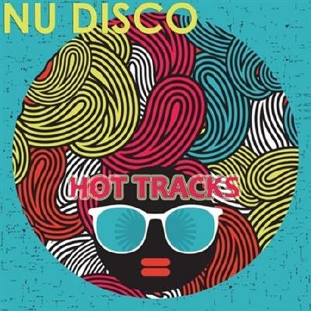 Nu Disco Hot Tracks (2013)