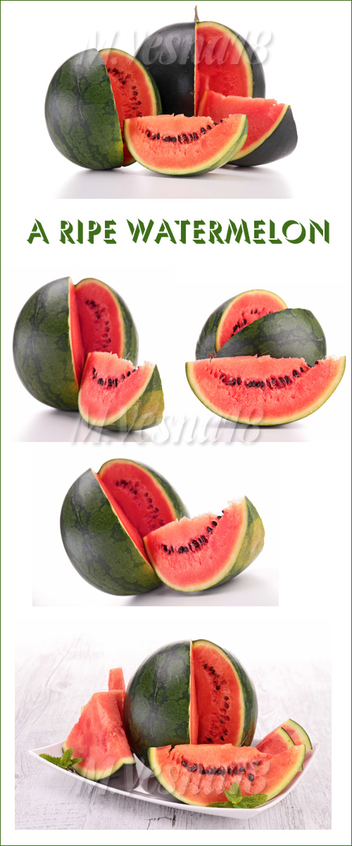   -   / A ripe watermelon - stock photo
