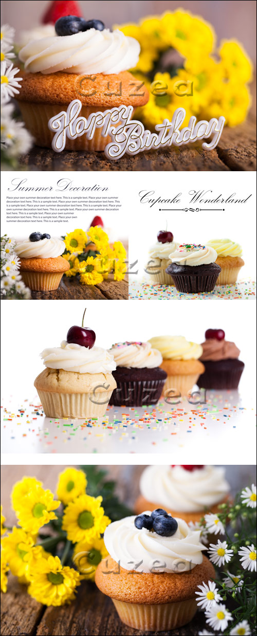   / Cupcakes for holidays - stock photo