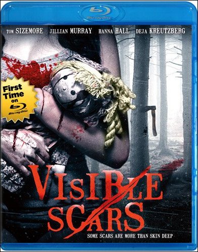 Visible Scars (2012) BRRip XviD AC3-KINGDOM