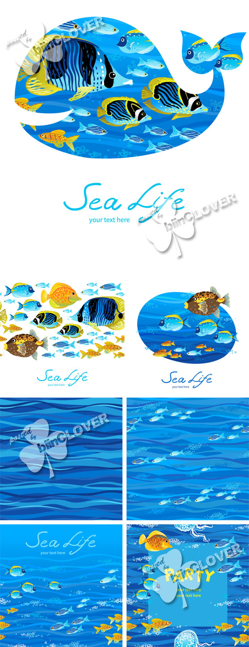 Background with tropical fishes 0444