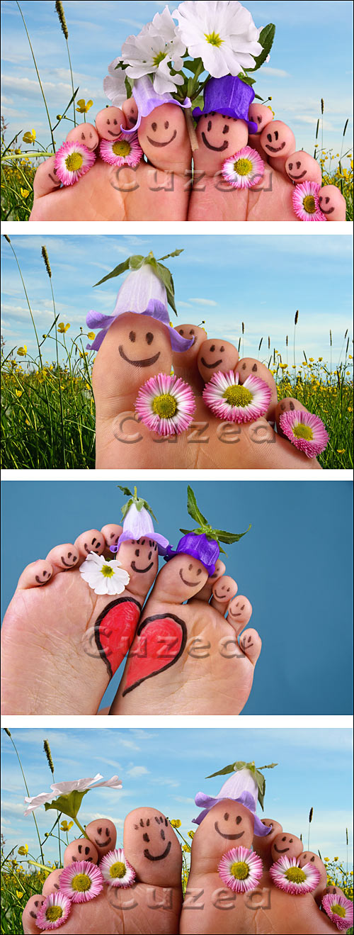       / Feet on summer meadow - stock photo