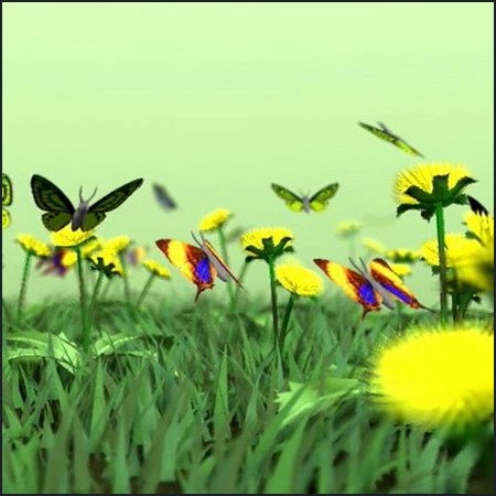Butterflies Kingdom 3D Screensaver