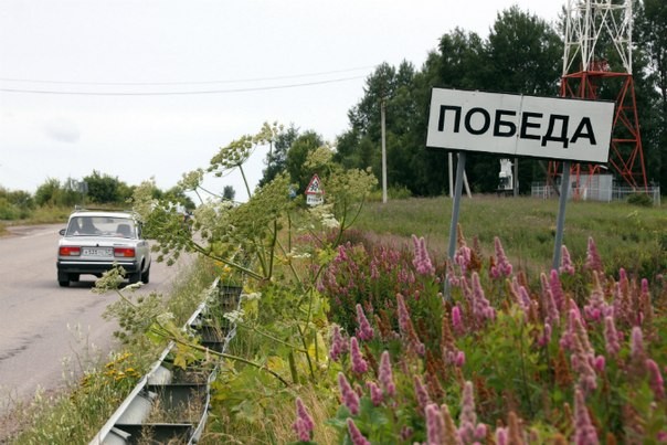 Жители отвоевали у мигрантов поселок в Ленинградской области