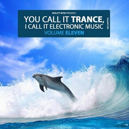 You Call It Trance I Call It Electronic Music Vol 11 (2013)