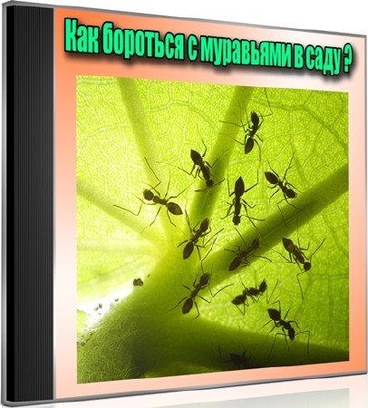 Как бороться с муравьями в саду (2013) DVDRip