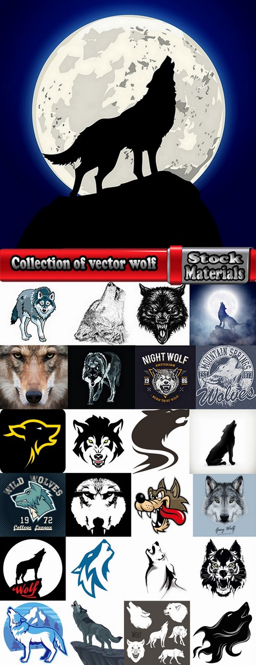 Collection of vector silhouettes picture predator wolf fang wolf eyes 25 Eps