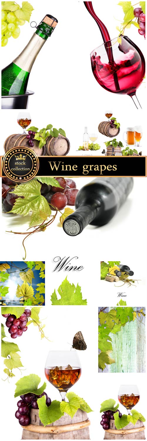 Wine, grapes, wine glasses - stock photos