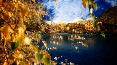 Футаж - Золотая осень в горах