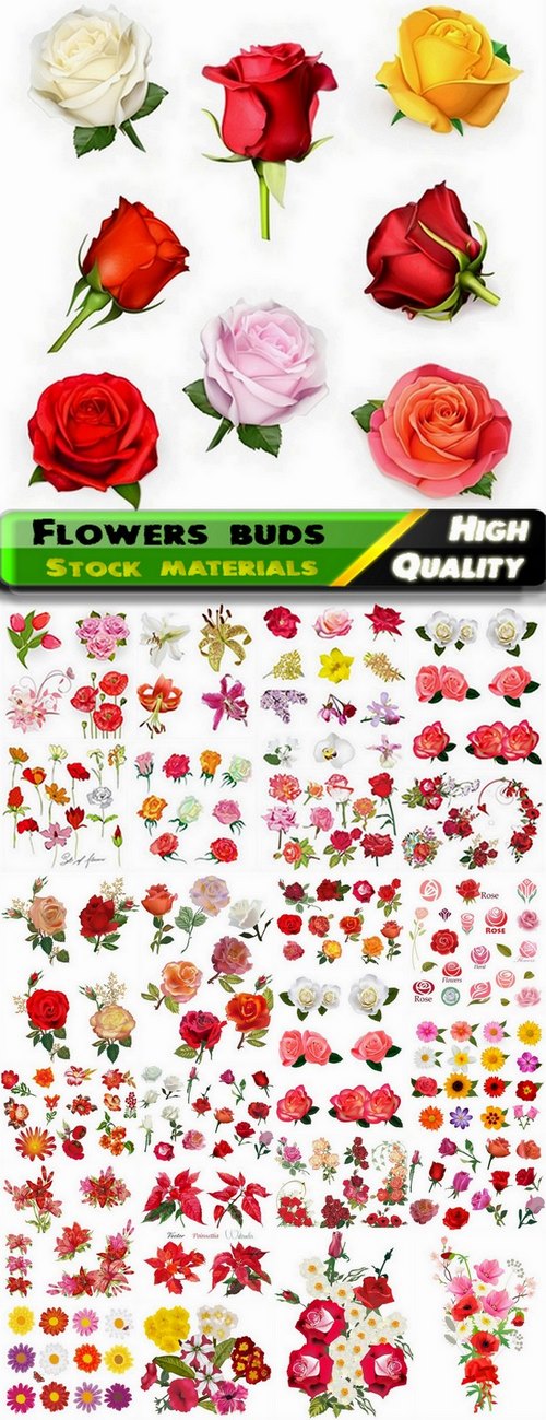 Different flowers buds and detailed roses - 25 Eps