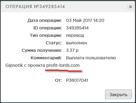 Profit-Birds -      Money-Birds