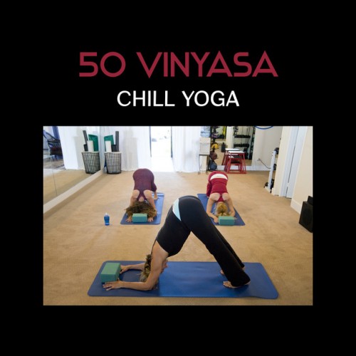 VA - 50 Vinyasa Chill Yoga: Healing and Relaxing Yoga Exercises (2017)