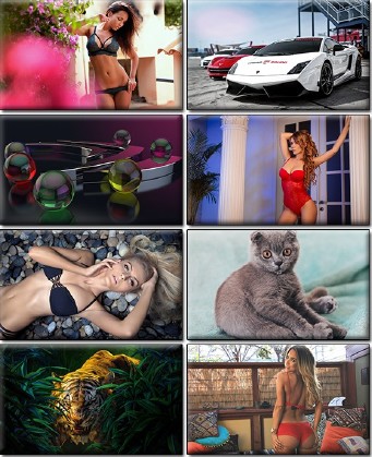 LIFEstyle News MiXture Images. Wallpapers Part (1221)