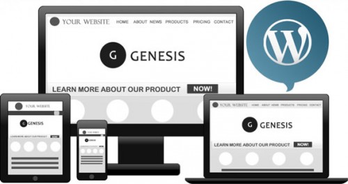 [NULLED] Genesis Framework v2.5.0 - WordPress Theme product graphic
