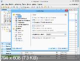 C-Organizer Professional 4.8.1 (2013) PC