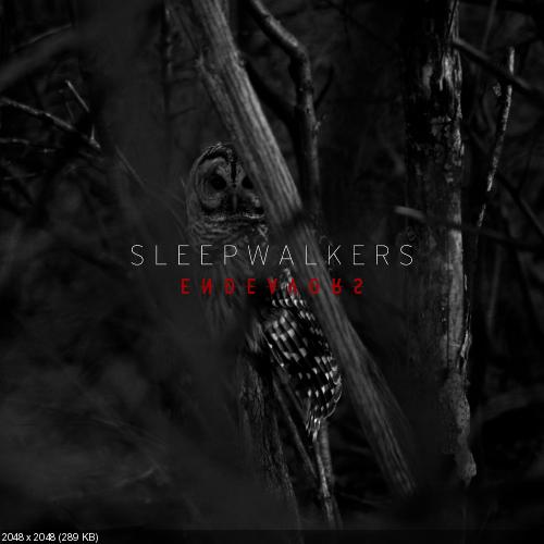 Endeavors - Sleepwalkers (2013)