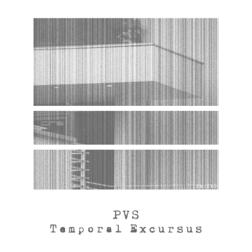 PVS - Temporal Excursus (2013)