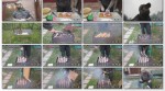Рекомендации по приготовлению шашлыка (2013) DVDRip