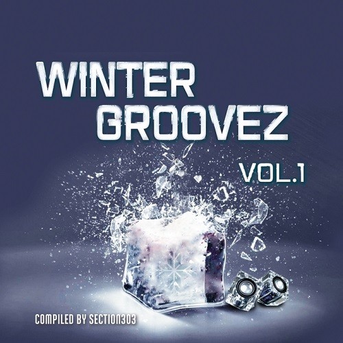 Winter Groovez Vol.1 (Compiled By Section303) (2015)